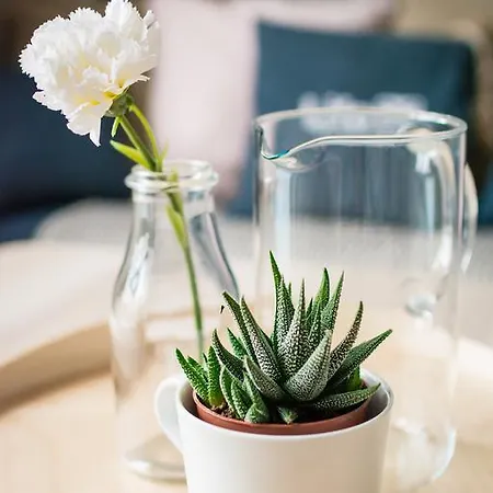 Apartmán Nadmorskie