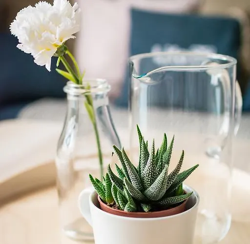 Lejlighed Nadmorskie